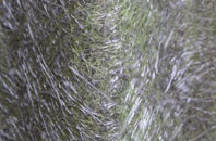 Wearne fibreglass roof work